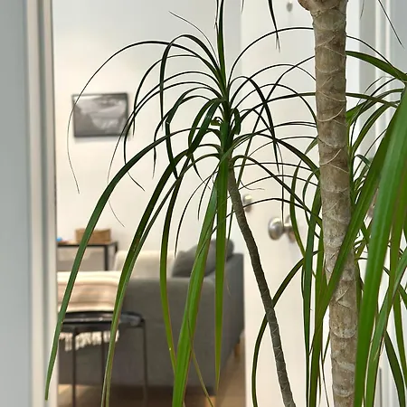 Apartamento Coruñaflat Con Encanto En El Centro De A Coruña