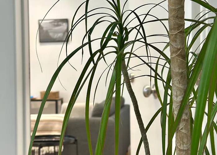 Apartment Corunaflat - Centro A Coruna